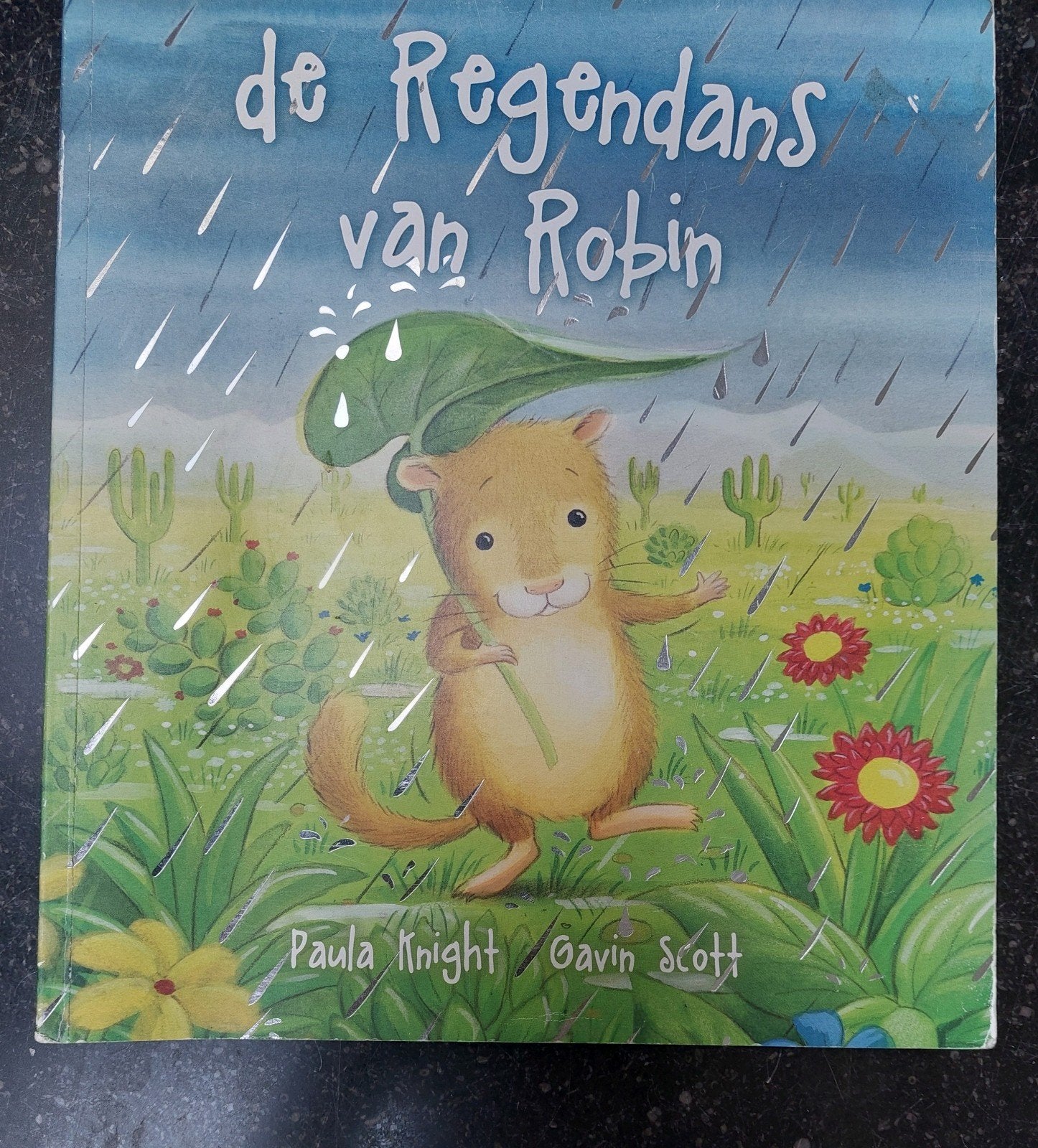 Voorleesboek: de regendans van Robin, Boeken, Ophalen of Verzenden, Zo goed als nieuw, 2 tot 3 jaar