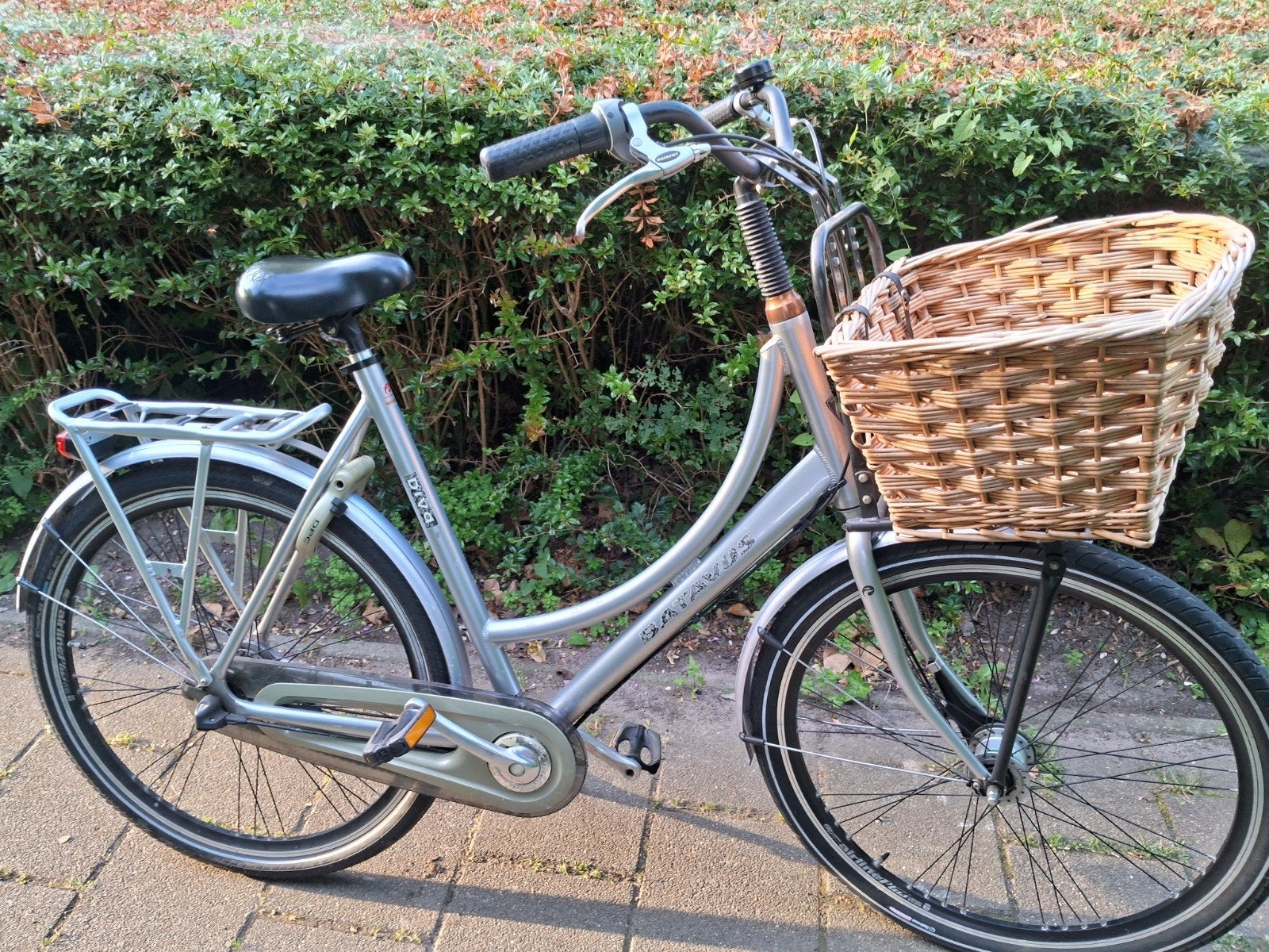 diverse dames School /damesfietsen, Ophalen of Verzenden, Gebruikt, Overige merken