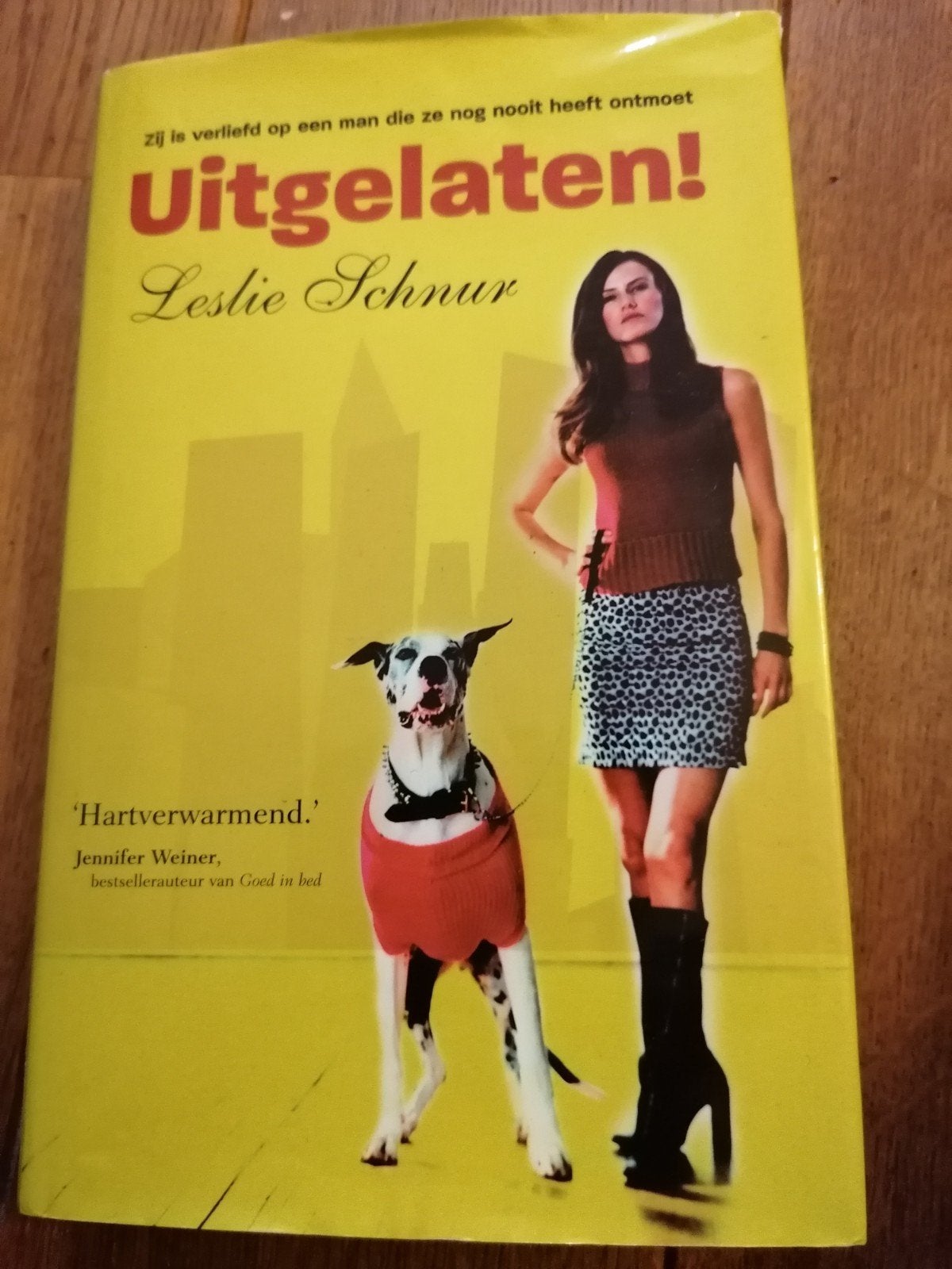 Uitgelaten! - Leslie Schnur (Roman), Ophalen of Verzenden, Gelezen, Leslie Schnur, Nederland