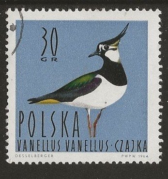 Polen 70, kievit, Verzenden, Polen, Gestempeld
