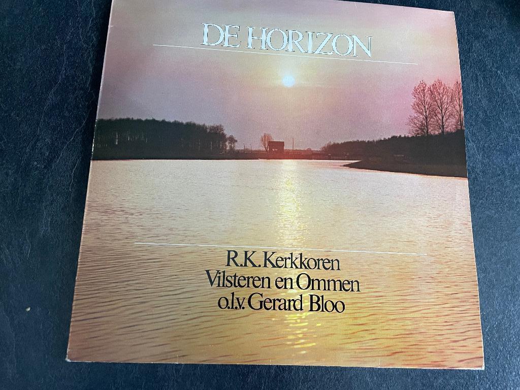 LP De Horizon, Ophalen, Gebruikt, 12 inch