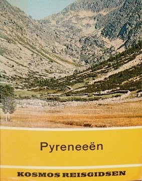 Pyreneeën - Reisgids (met woordenlijst), Ophalen of Verzenden, Europa, Reisgids of -boek