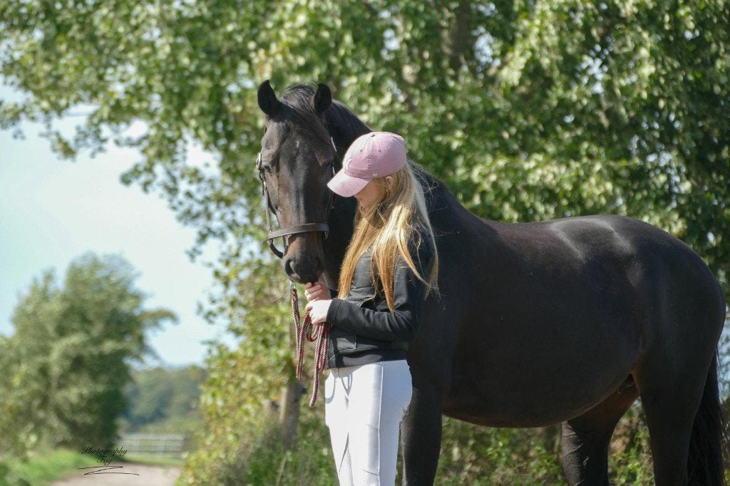 bijrijder aangeboden :), Dieren en Toebehoren, Ophalen of Verzenden, Nieuw, Dressuur