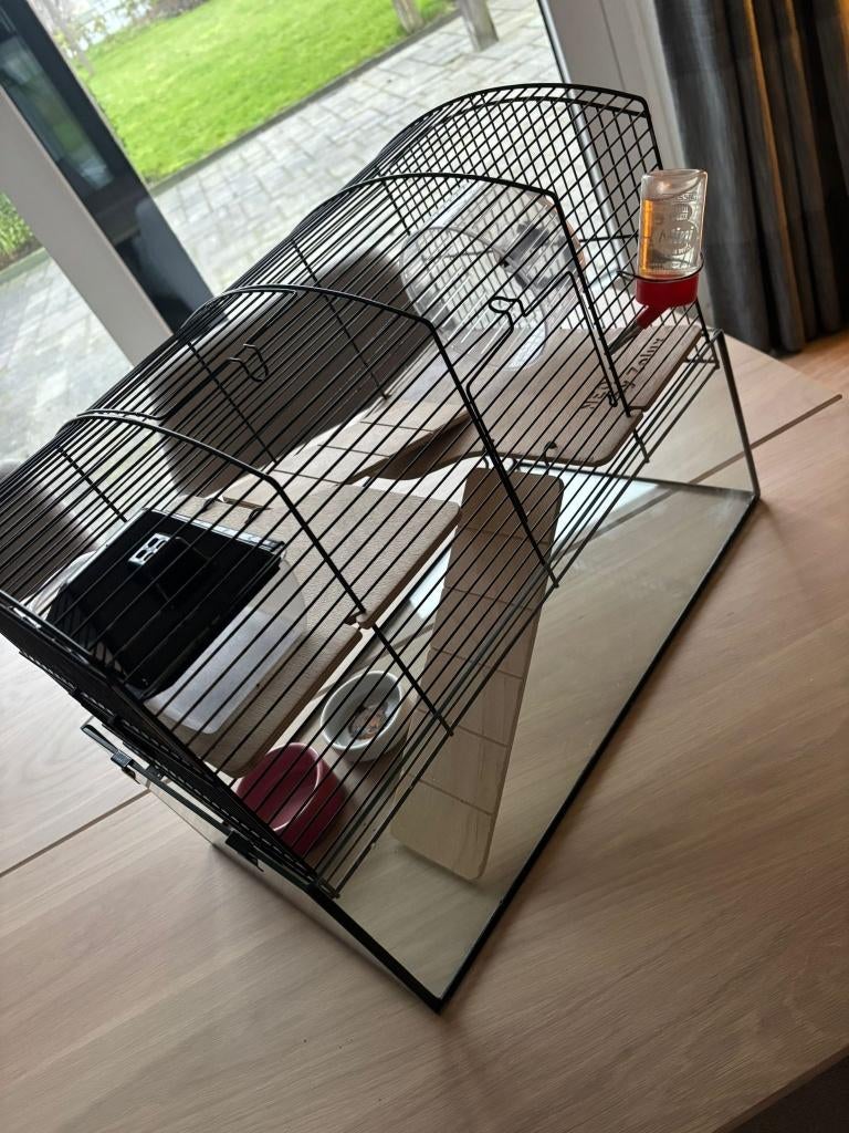 Hamsterhok, Gebruikt, Minder dan 75 cm, Ophalen, Minder dan 60 cm