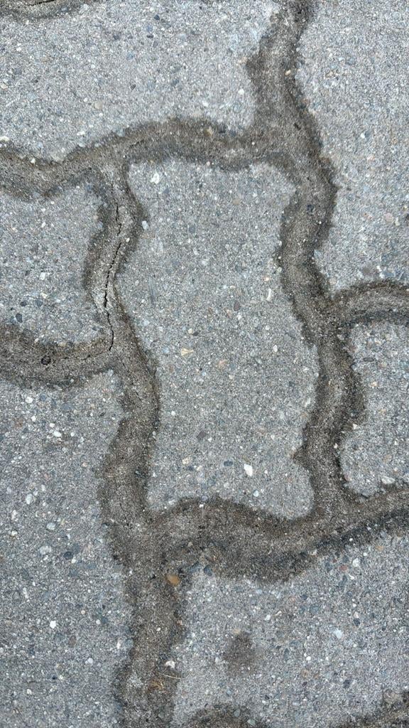 Mooie zgan profiel stenen volgende week beschikbaar!, Ophalen of Verzenden, Zo goed als nieuw, Beton, Klinkers