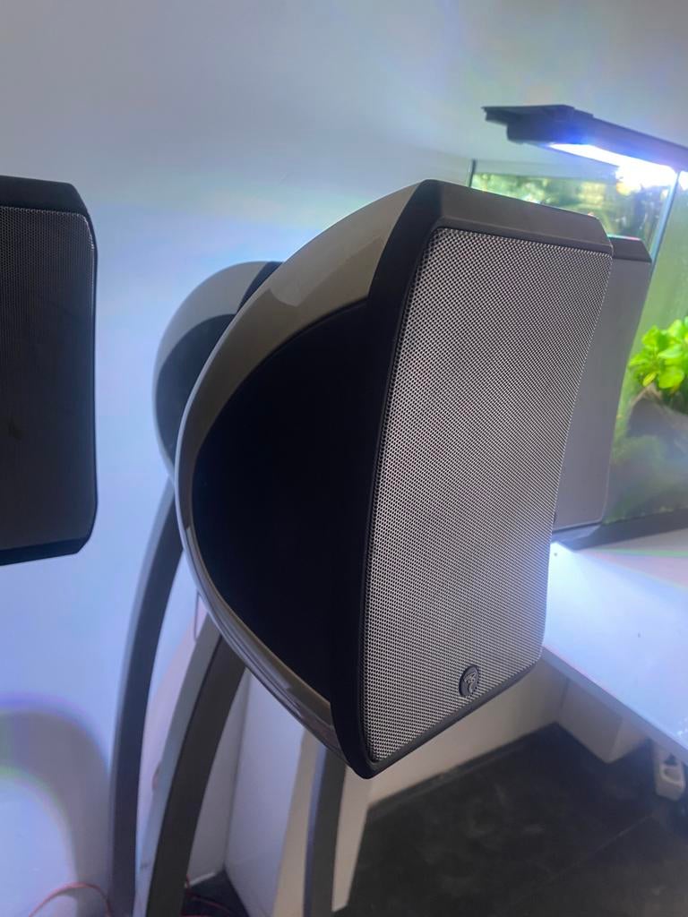 JMlab Focal 5.1 speakers en subwoofer prachtig geluid, Audio, Tv en Foto, Overige merken, Ophalen of Verzenden, Zo goed als nieuw