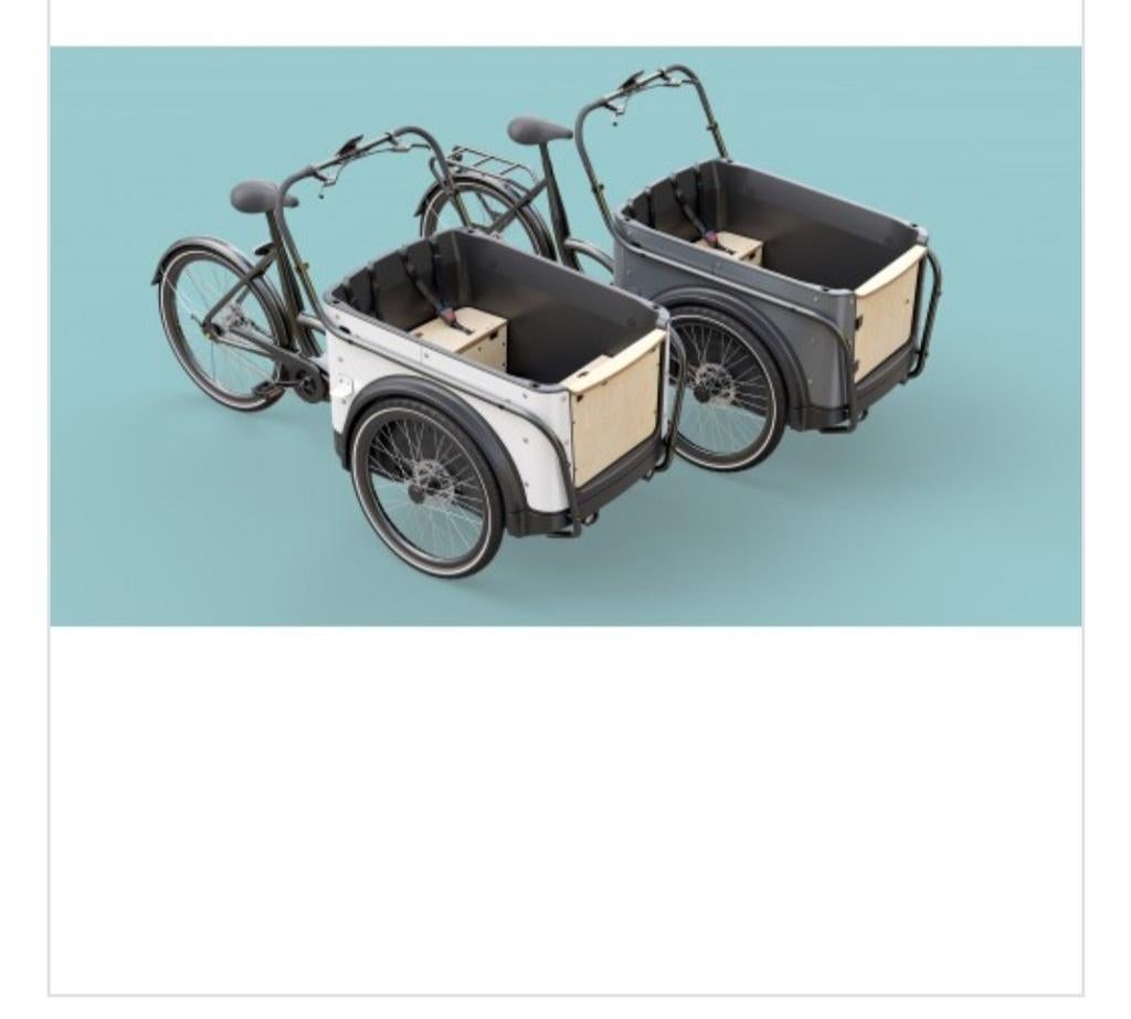 Royal de luxe bakfiets, Fietsen en Brommers, Ophalen of Verzenden, Nieuw