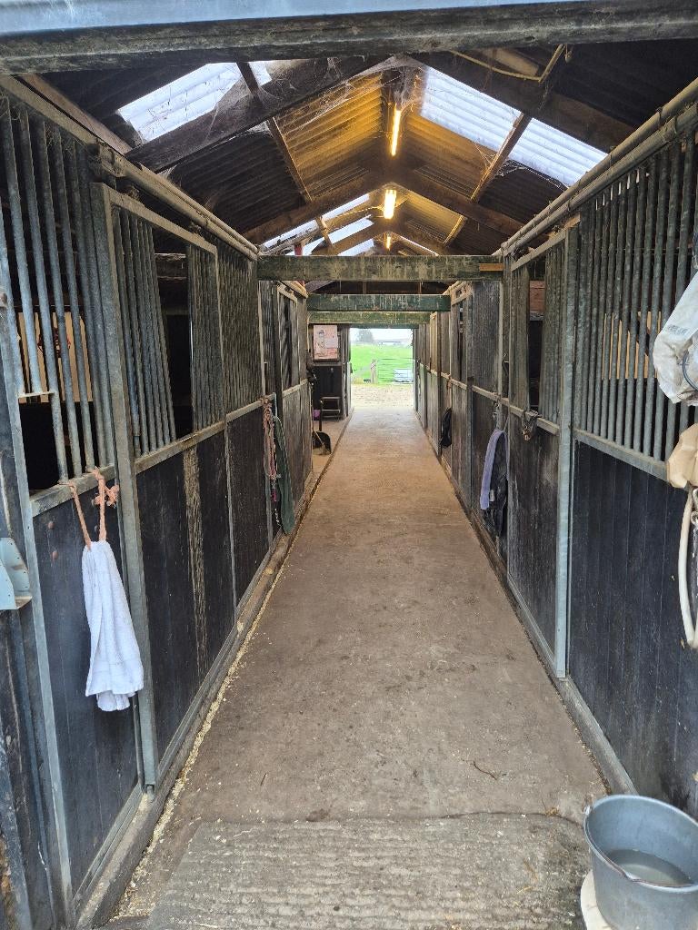 Paardenstal in Leimuiden. Boxen vrij., Dieren en Toebehoren, Weidegang, 1 paard of pony