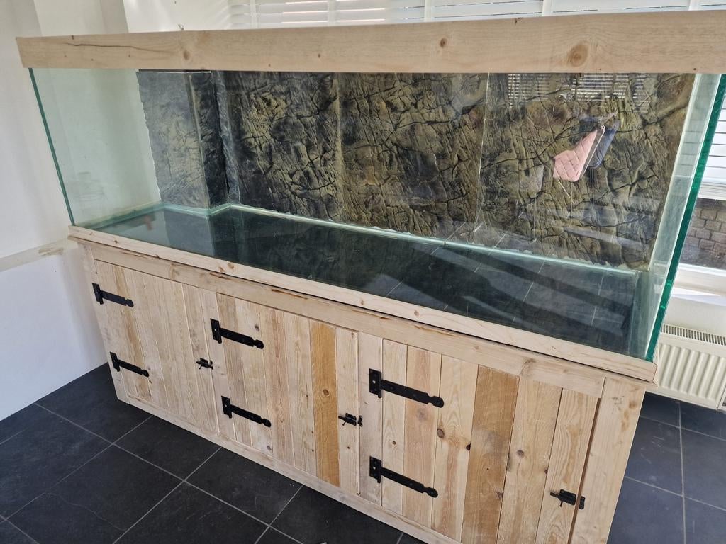 Aquarium   op elk gewenste  maat  ., Vis