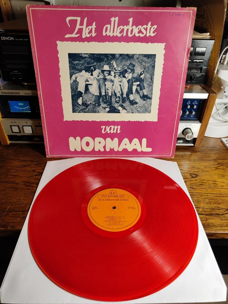Normaal - Het Allerbeste Vinyl LP, Ophalen of Verzenden, Zo goed als nieuw, 12 inch
