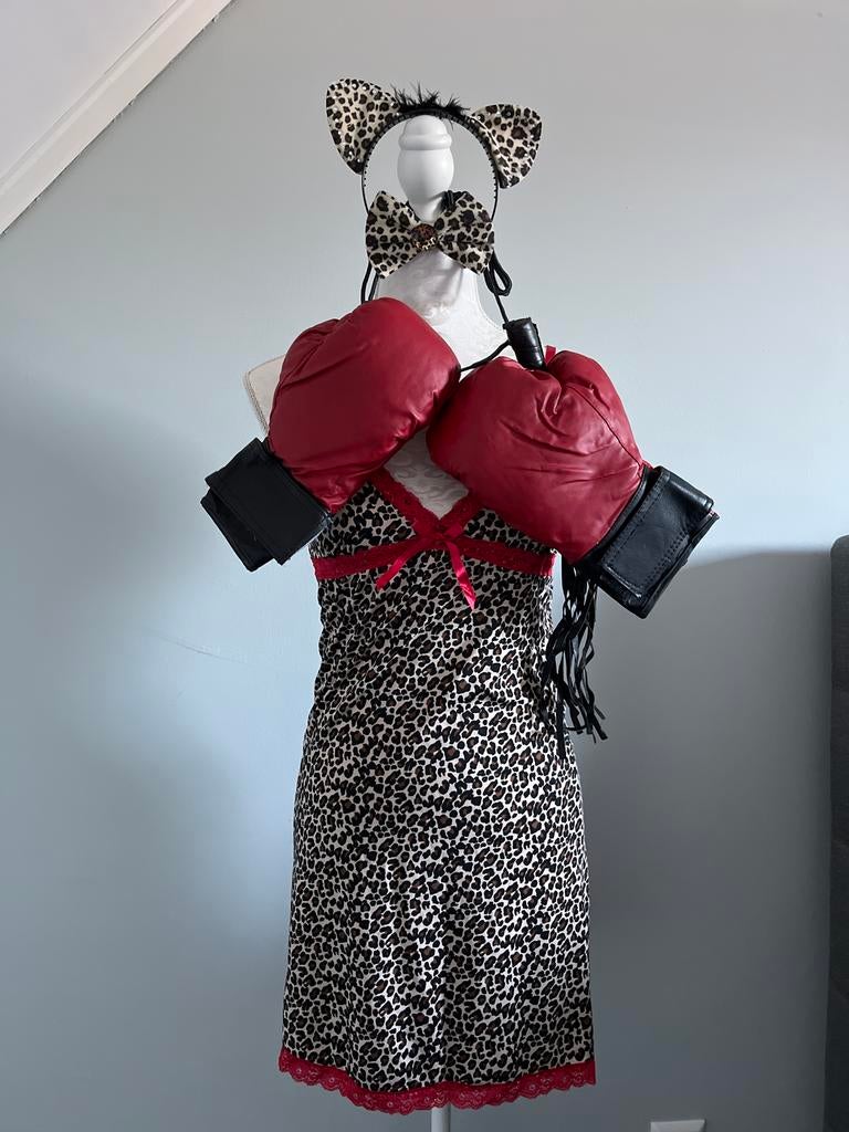 Carnaval Outfit - Stoeipoes, Kleding | Dames, Carnavalskleding en Feestkleding, Ophalen, Carnaval, Zo goed als nieuw, Kleding