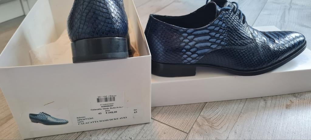 Supermooie schoenen 43, Kleding | Heren, Ophalen of Verzenden, Zo goed als nieuw
