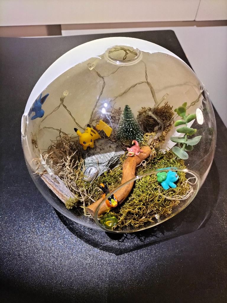 Pokémon bol /diorama, Ophalen, Zo goed als nieuw