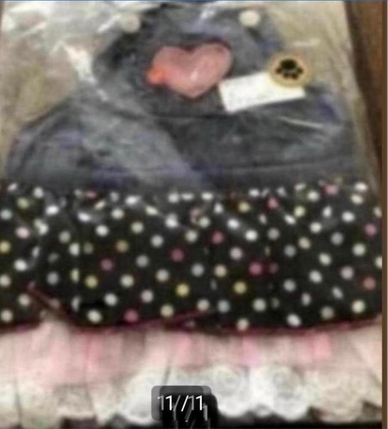 Overgooier met strass, Ophalen of Verzenden, Nieuw, Overige hondenkleding