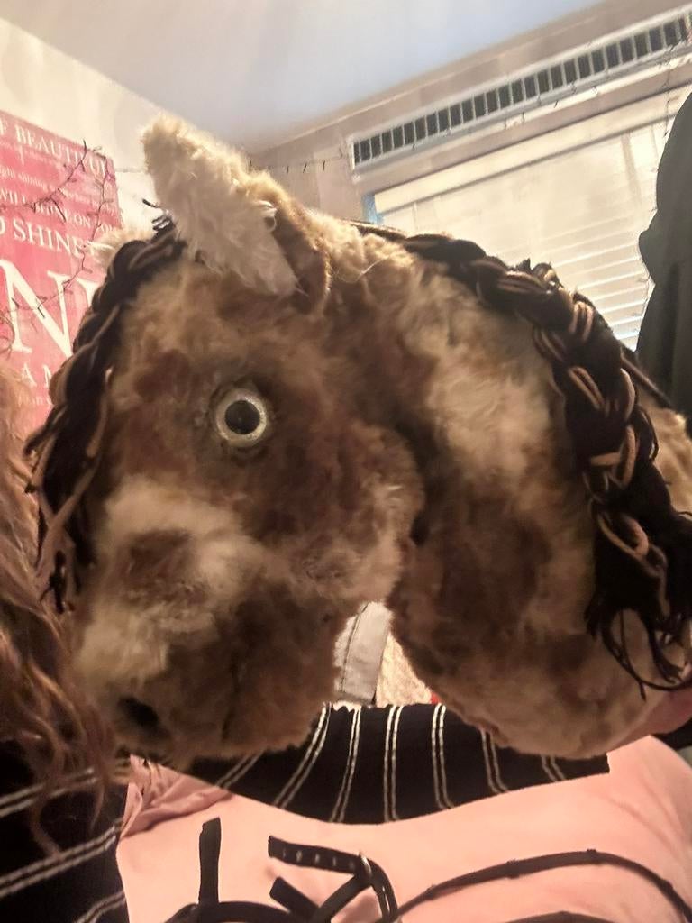 Prachtige hobby horse, Boeken, Ophalen of Verzenden, Zo goed als nieuw