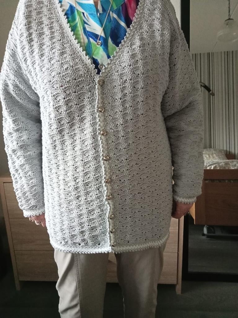 Prachtig zilvergrijs vest handgehaakt, Ophalen of Verzenden, Zo goed als nieuw, Maat 46/48 (XL) of groter, Blauw
