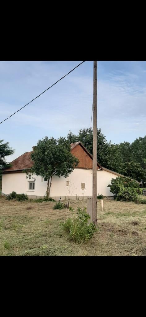 Gerenoveerde tanya op 1.3 ha in Hongarije plus groot huis, Huizen en Kamers