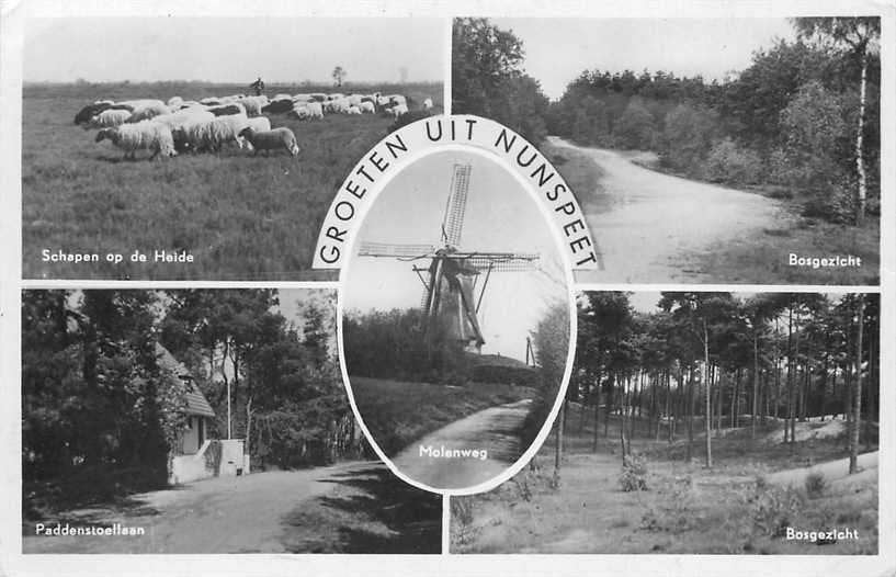 377-587-031 Nunspeet, Verzenden, Voor 1920, Gelderland