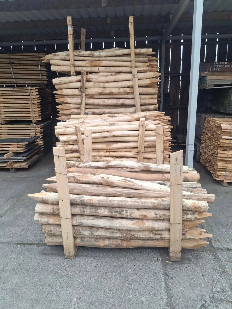 Robinia palen en beschoeiing Schotten, Ophalen, Nieuw, 250 cm of meer, Palen