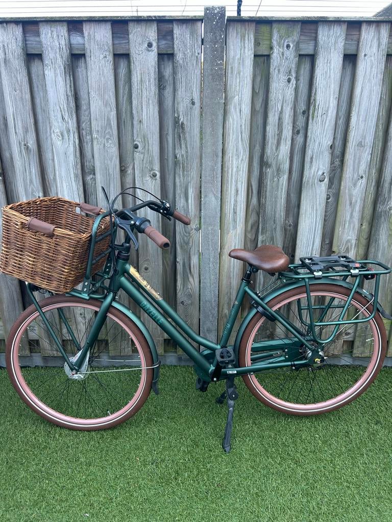 Gazelle Heavy Duty damesfiets - Groen met mand, Versnellingen, Ophalen of Verzenden, Gazelle, 53 tot 56 cm