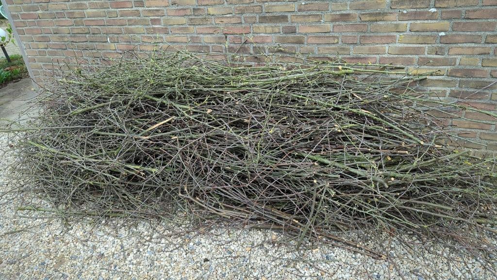 Grote hoeveelheid takken voor brandhout of compost, Tuin en Terras, Haardhout, 3 tot 6 m³, Ophalen, Overige houtsoorten, Takken