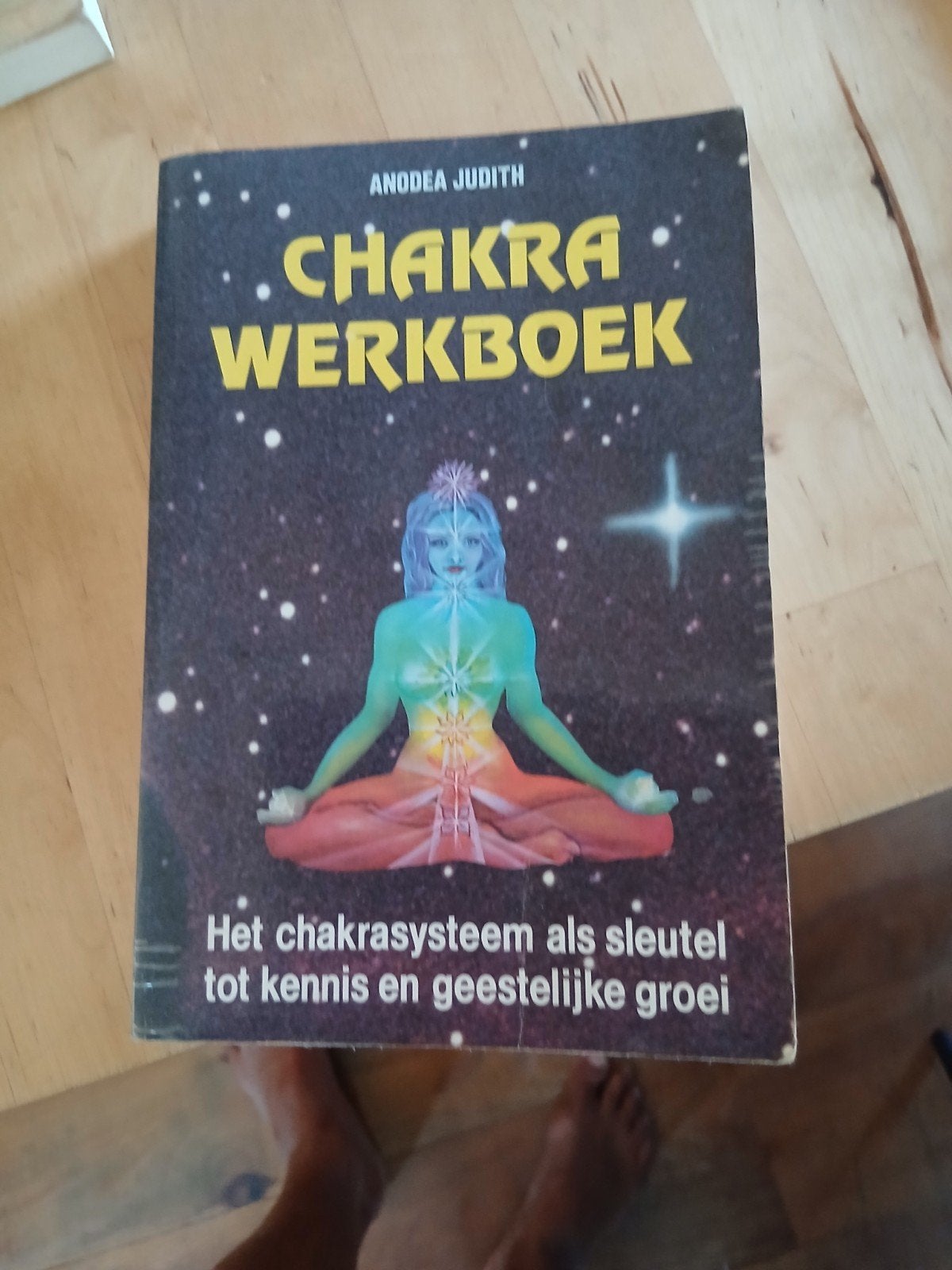 Chakra Werkboek - Anodea Judith, Boeken, Ophalen of Verzenden