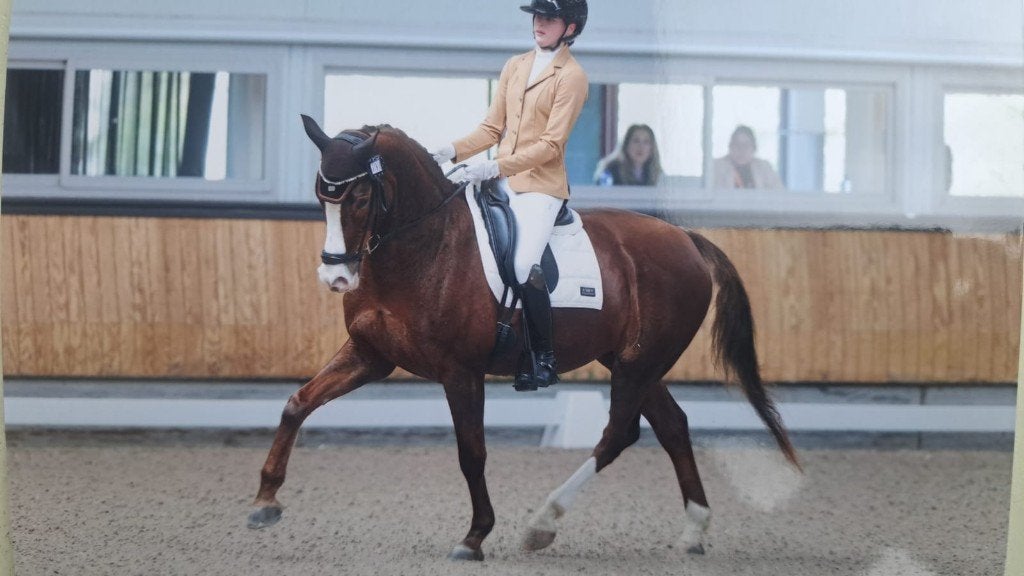 Elite dressuurmerrie, Merrie, ZZ, Met stamboom, Dressuurpaard