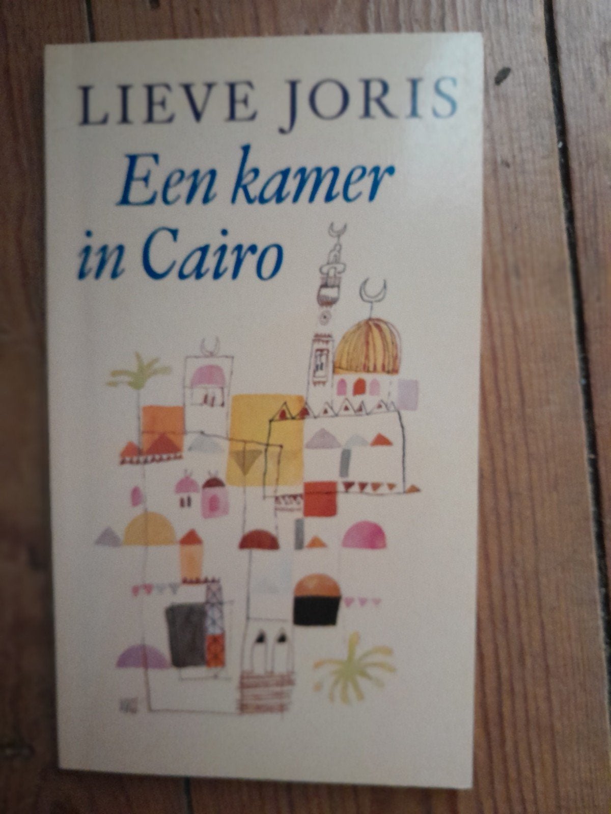 Lieve Joris - Een kamer in Caïro (Gesigneerd), Ophalen of Verzenden, Gelezen, Lieve Joris, België