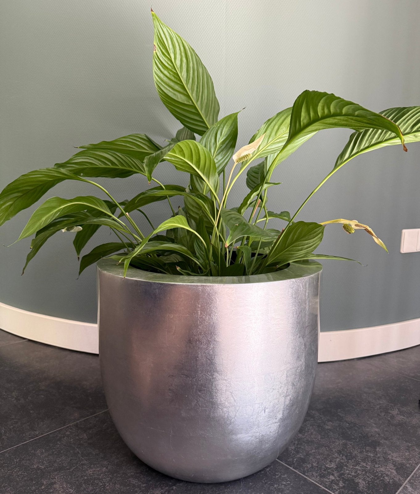 Bloempot (Zilver / Silverleaf) – H40 x B45 cm – Als nieuw!, Kunststof, 40 cm of meer, Rond, Binnen