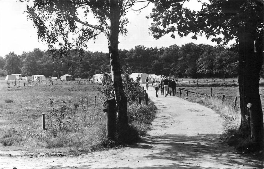 388-453-041 Chaam De Flaasbloem, Verzenden, Voor 1920, Noord-Brabant