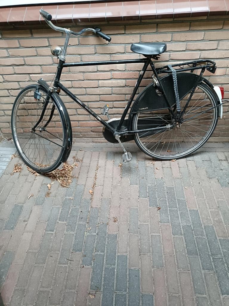 Goede gazelle impala, Ophalen, Gebruikt, Terugtraprem, Gazelle