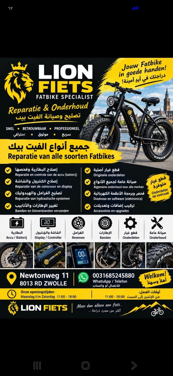 Foto 22 van Fatbike reparatie