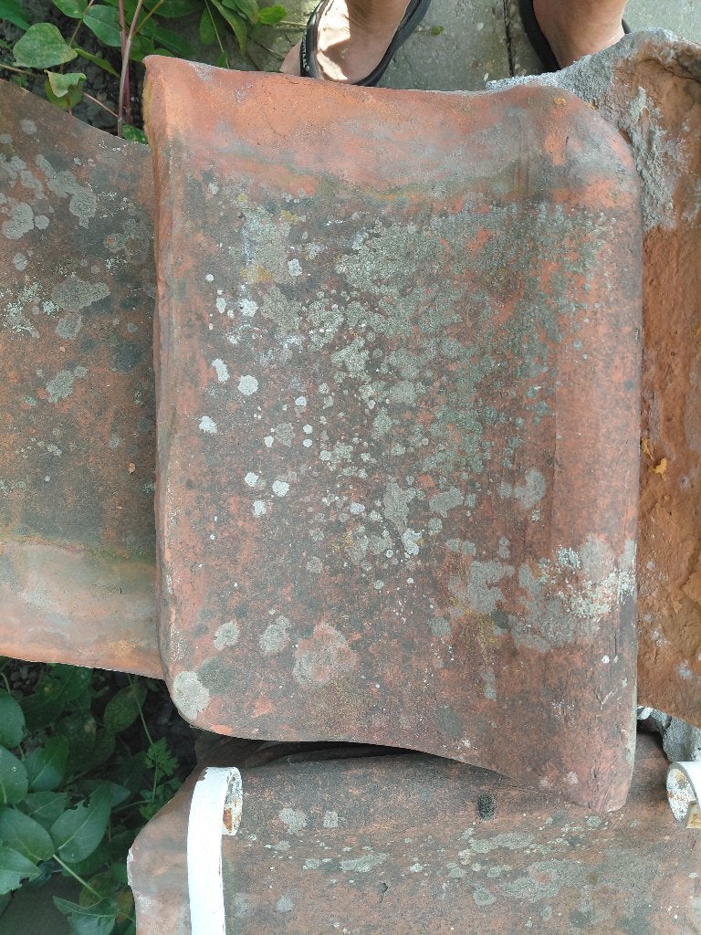 Dakpannen, Ophalen, Gebruikt, Steen of Klei, 15 m² of meer