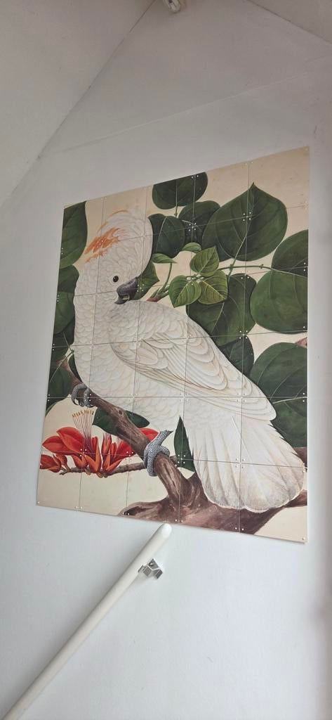 IXXI kaketoe wanddecoratie, Huis en Inrichting, Woonaccessoires | Wanddecoraties, Ophalen of Verzenden