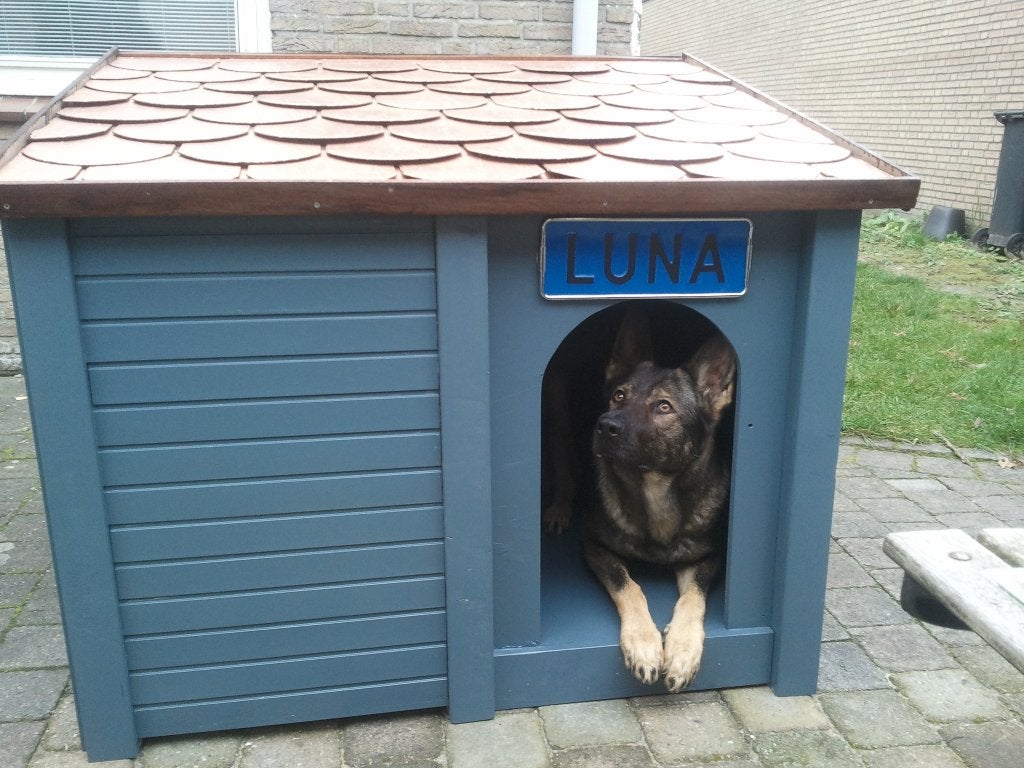 geïsoleerd hondenhok met vlonder, Dieren en Toebehoren, Ophalen, 65 tot 100 cm, Hondenhok, Zo goed als nieuw