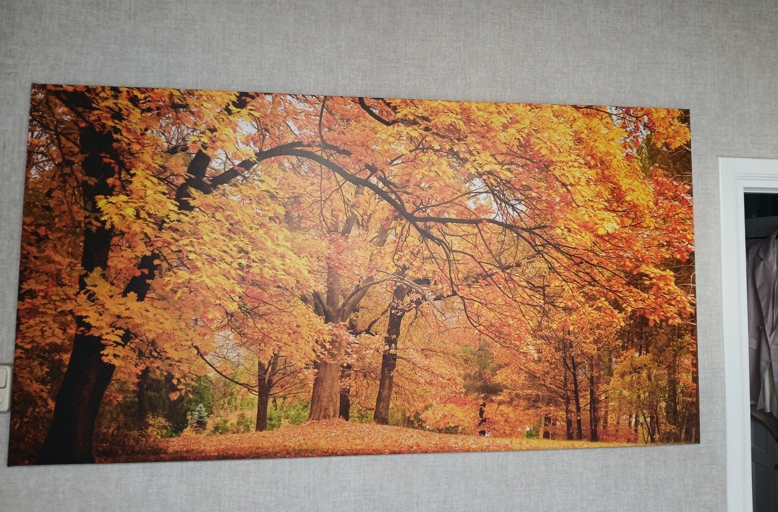 Groot canvas wanddoek Herfstbos 100 x 190cm, Ophalen