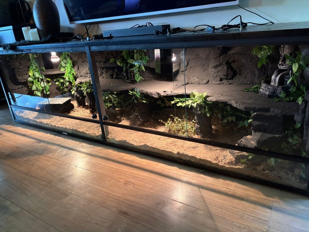 Woestijn Terrarium "Tikki" 250x70x70, Ophalen of Verzenden, Nieuw, Terrarium of Paludarium