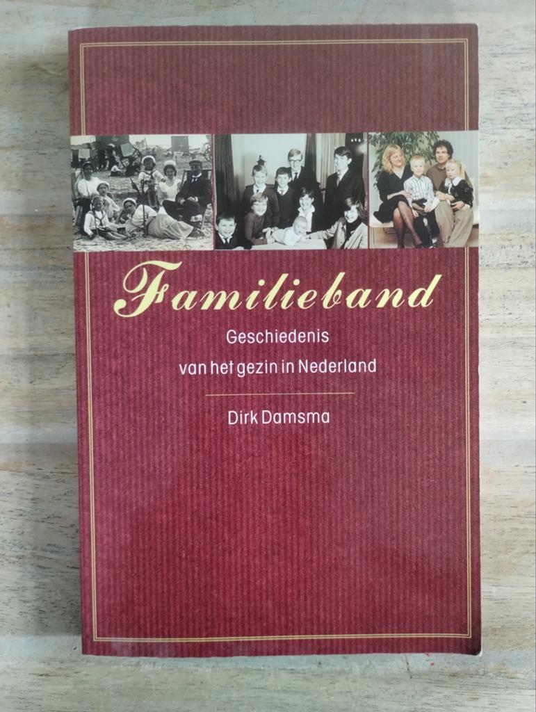 Familieband: Geschiedenis van het gezin in Nederland, Boeken, Geschiedenis | Stad en Regio, Ophalen of Verzenden, 20e eeuw of later