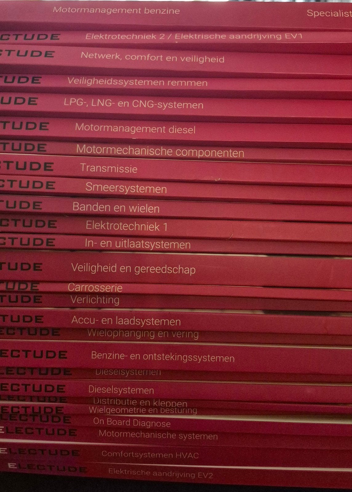 Electude Advanced en Specialist boeken (set of los), Boeken, Verzenden, Beta, Gelezen, MBO