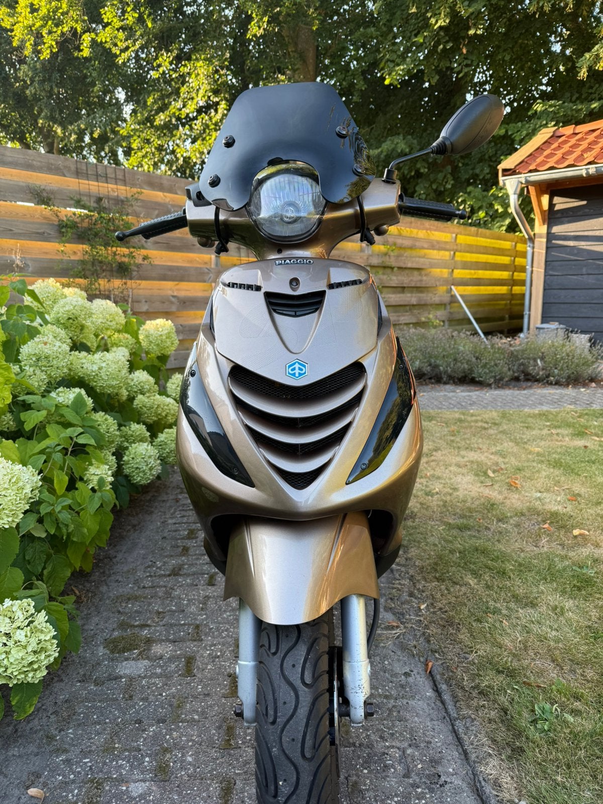 Piaggio Zip, Fietsen en Brommers, Scooters | Piaggio, Ophalen, Gebruikt, Maximaal 45 km/u, Zip