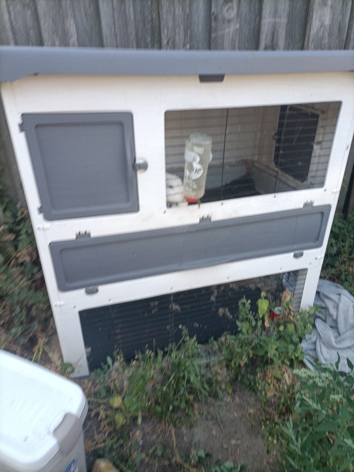 Konijnenhok met 2 konijnen, Dieren en Toebehoren, Knaagdieren en Konijnen | Hokken en Kooien, Ophalen, 110 cm of meer, Hok, 90 cm of meer