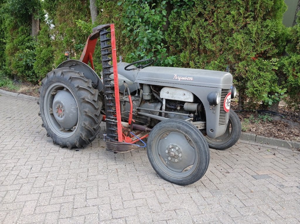 Massey Ferguson TED 20  1951, Zakelijke goederen, Agrarisch | Tractoren, Ophalen, Gebruikt, Tot 2500, Tot 80 Pk