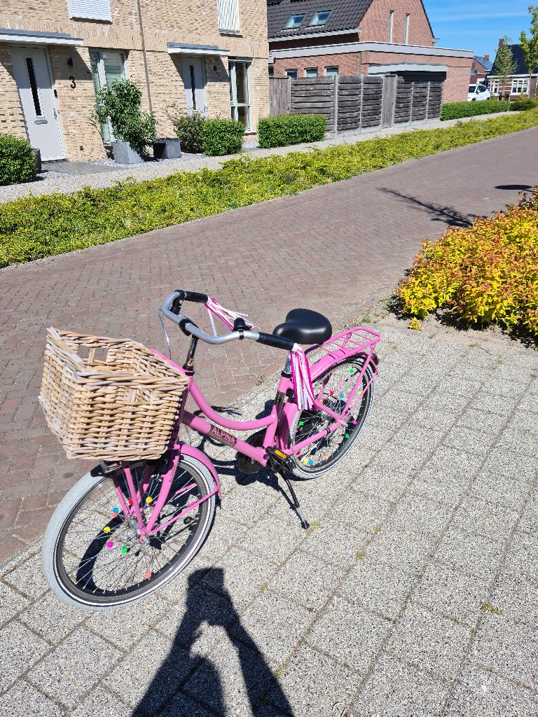 Alpina kinderfiets met mandje (22 inch), Ophalen, Zo goed als nieuw, Alpina Cargo, Terugtraprem