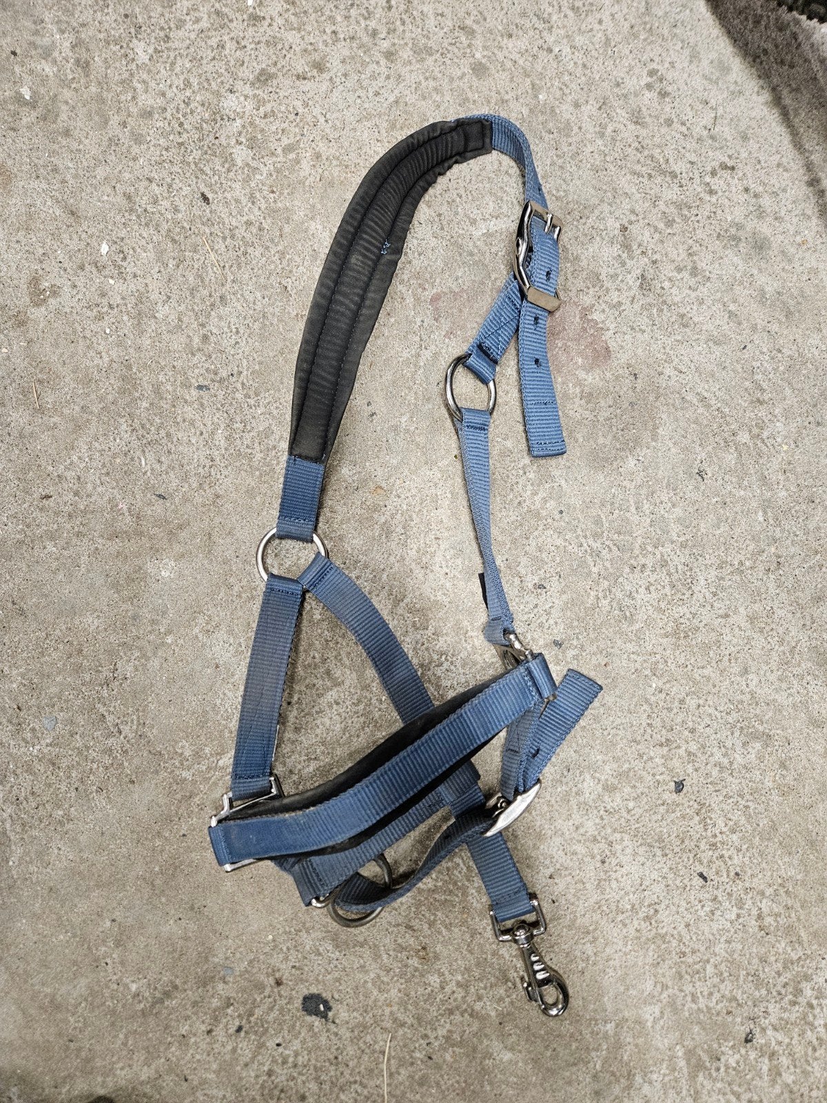 Paardenspullen, netten, halsters, vliegen, Ophalen of Verzenden