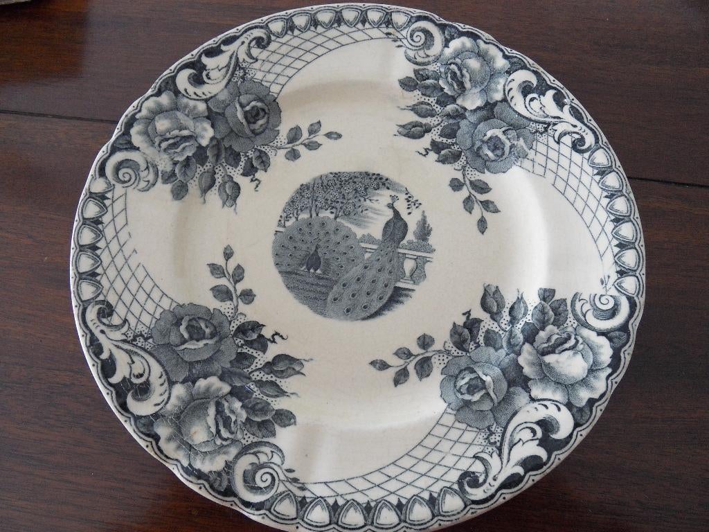 Oud bordje MAASTRICHT PEACOCK doorsnede 21 cm. zie tekst, Ophalen of Verzenden