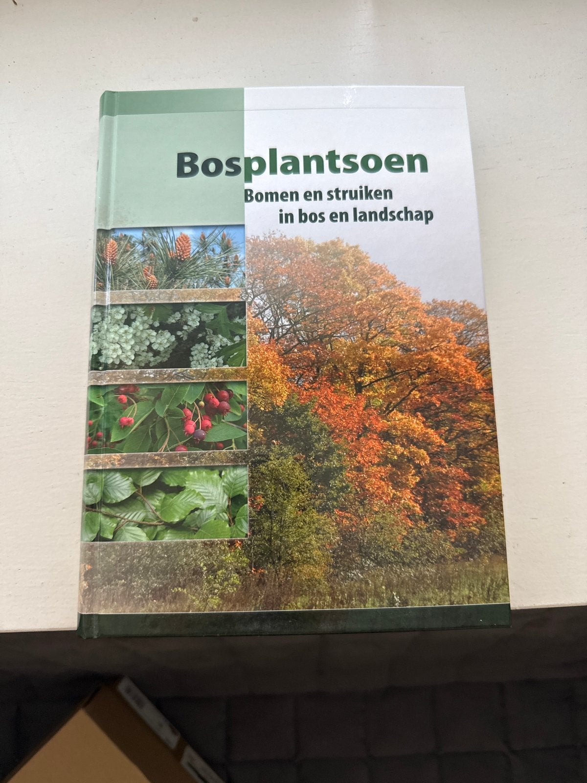 Bosplantsoen: Bomen en struiken in bos en landschap, Boeken, Ophalen, Zo goed als nieuw, Tuinieren en Tuinplanten