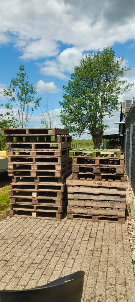 Pallets, Ophalen, Overige houtsoorten, Minder dan 200 cm, Pallet