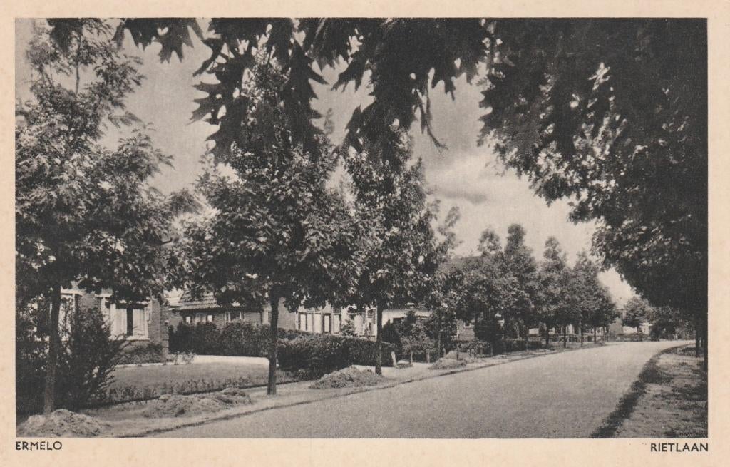 ERMELO Rietlaan, Verzamelen, Ansichtkaarten | Nederland, Verzenden, 1940 tot 1960, Ongelopen, Gelderland