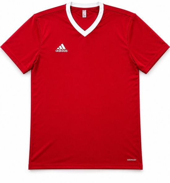 t shirt, Maat 48/50 (M), Nieuw, Ophalen of Verzenden, Adidas