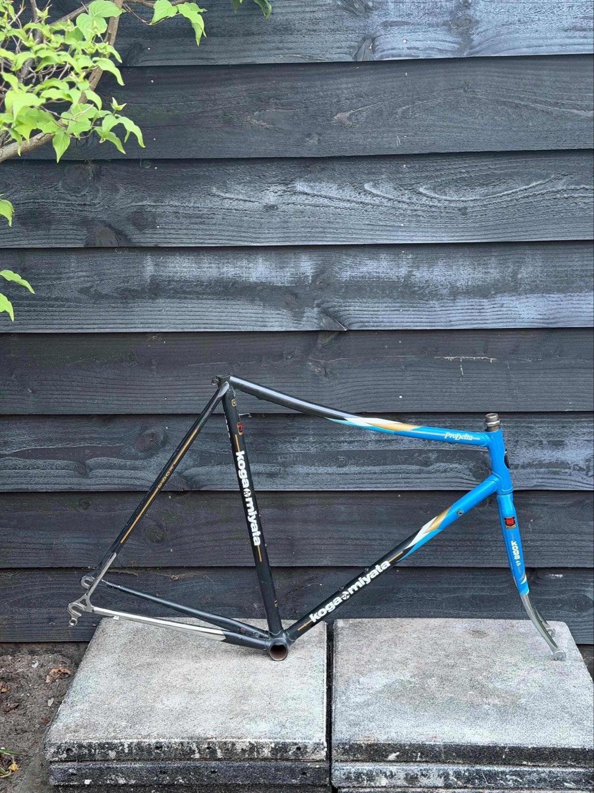 Koga Miyata Pro Delta LO-PRO racefiets frame, Fietsen en Brommers, Fietsen | Racefietsen, Ophalen of Verzenden, Gebruikt, Staal